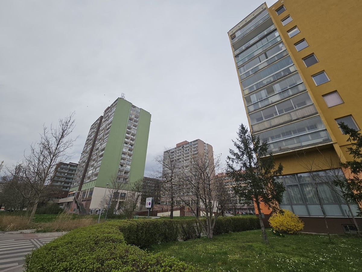 Vršovice levné byty